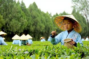 雷竞技在哪儿下